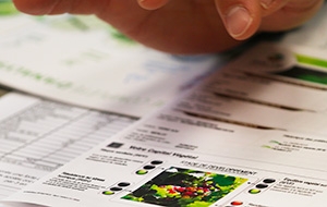 Feuilles de renseignements
